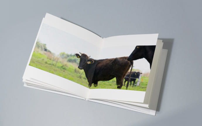 World Auction at Himeji wagyu master